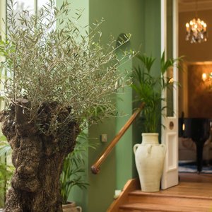 Cahernane House Hotel, hotel in Killarney