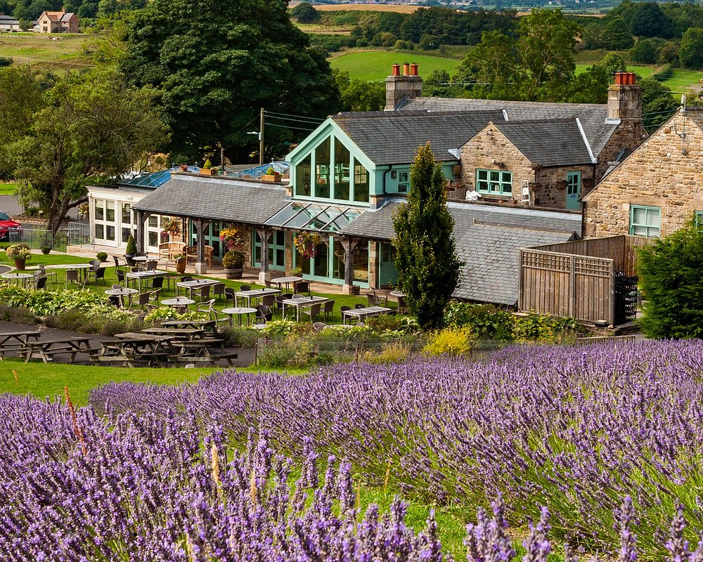 Black Horse Beamish Updated 21 Restaurant Reviews Menu Prices Reservations Tripadvisor Black Horse Beamish Updated 21 Restaurant Reviews Menu Prices Reservations Tripadvisor