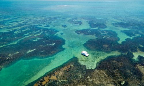 Passeio de catamarã para as piscinas naturais de Pitimbu, disponível na maré baixa.
