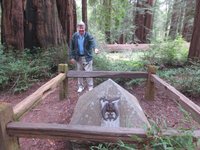 Portola Redwoods State Park La Honda 2021 All You Need To Know Before You Go With Photos La Honda Ca Tripadvisor