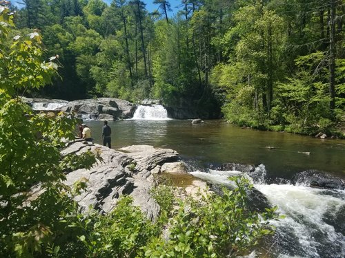 THE BEST 10 Bubble Tea near Linville Falls, NC - Last Updated September  2023 - Yelp