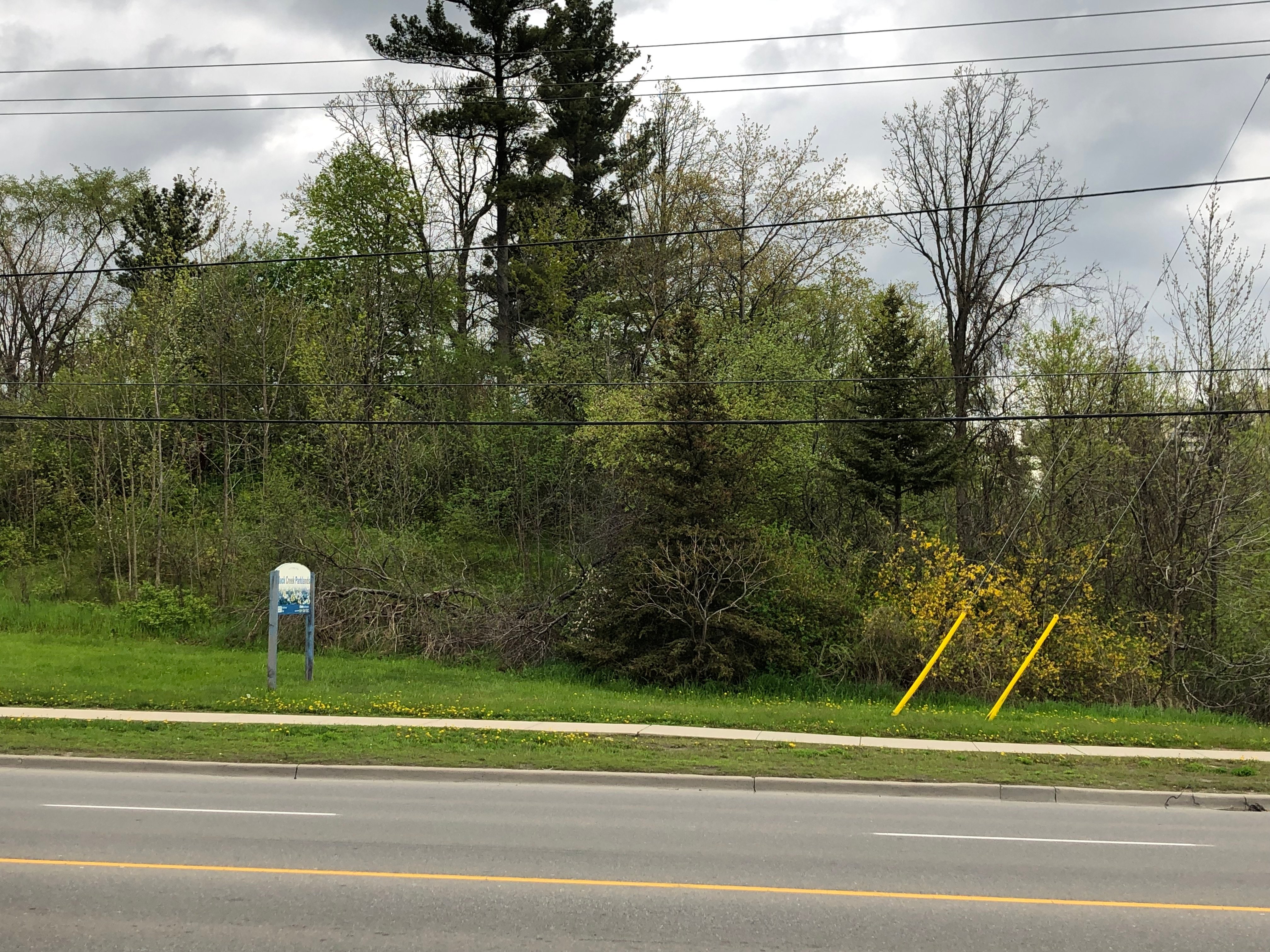 Black Creek Parkland Toronto 2022 Alles Wat U Moet Weten VOORDAT Je   Across The Street Black 