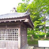 全体です