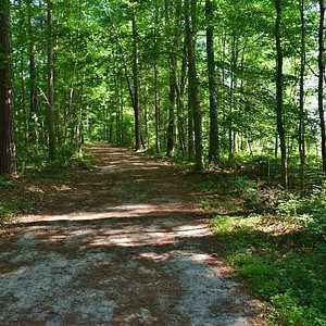 RollingView Falls Lake State Park (Durham) - All You Need to Know ...