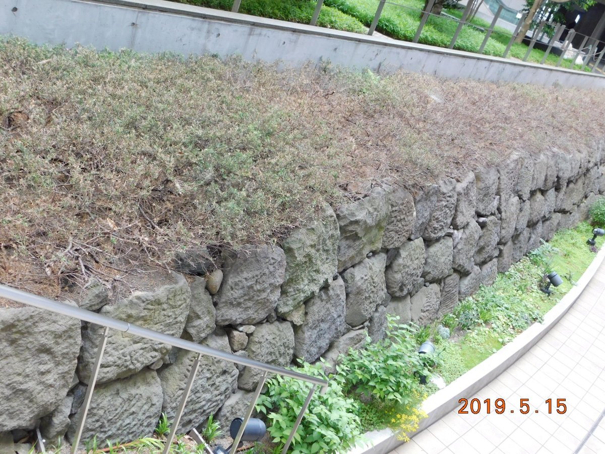 Edo Castle Stone Walled Moat Kasumigaseki All You Need To Know Before You Go