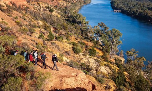 Walking along the might Murray River