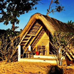 NBC Glamping Huts