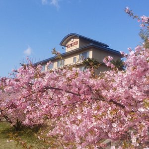 春の外観