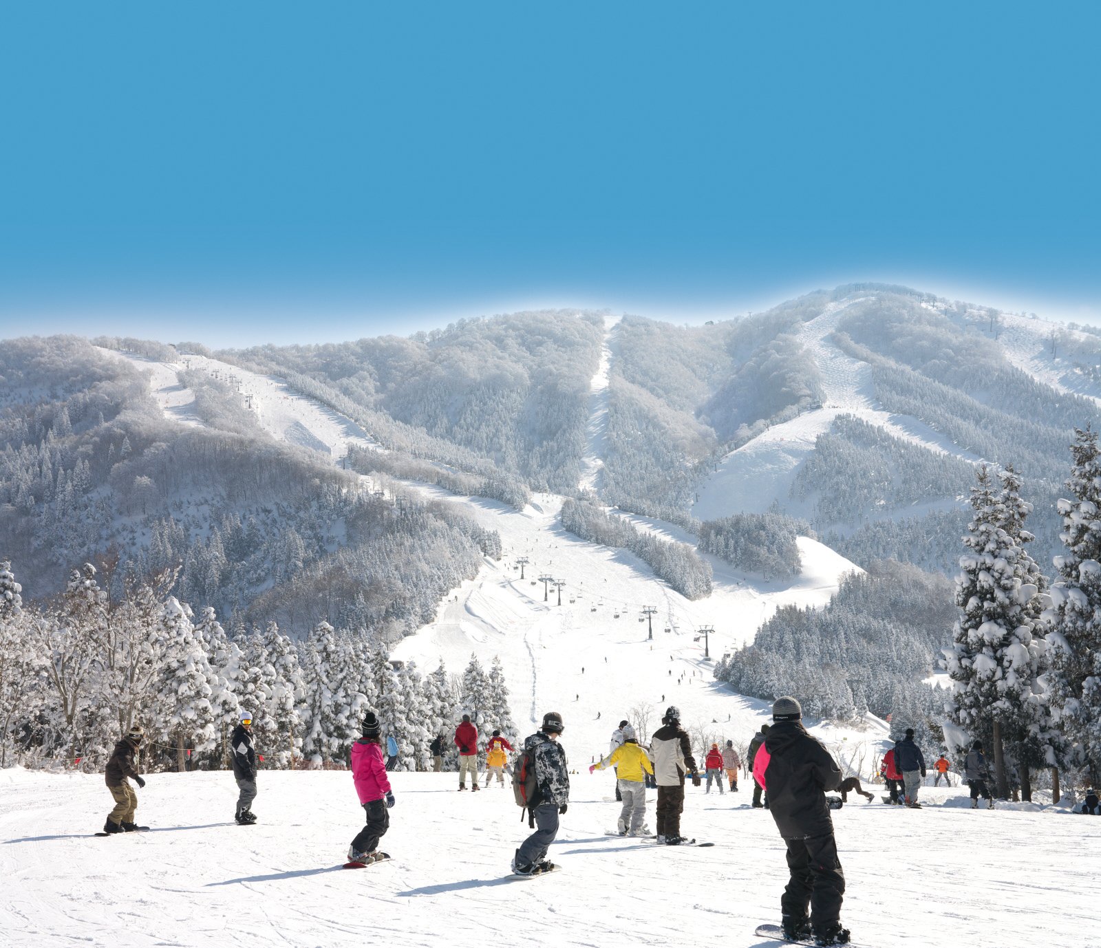 2025年 スキージャム勝山 - 出発前に知っておくべきことすべて