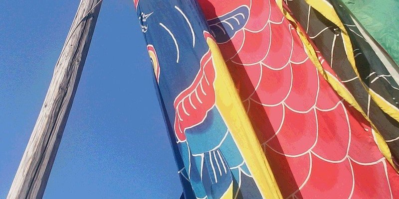 五月には、こいのぼりが勢いよく空を昇ります。