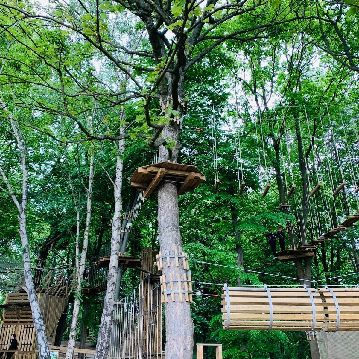 Can I Change My Go Ape Booking