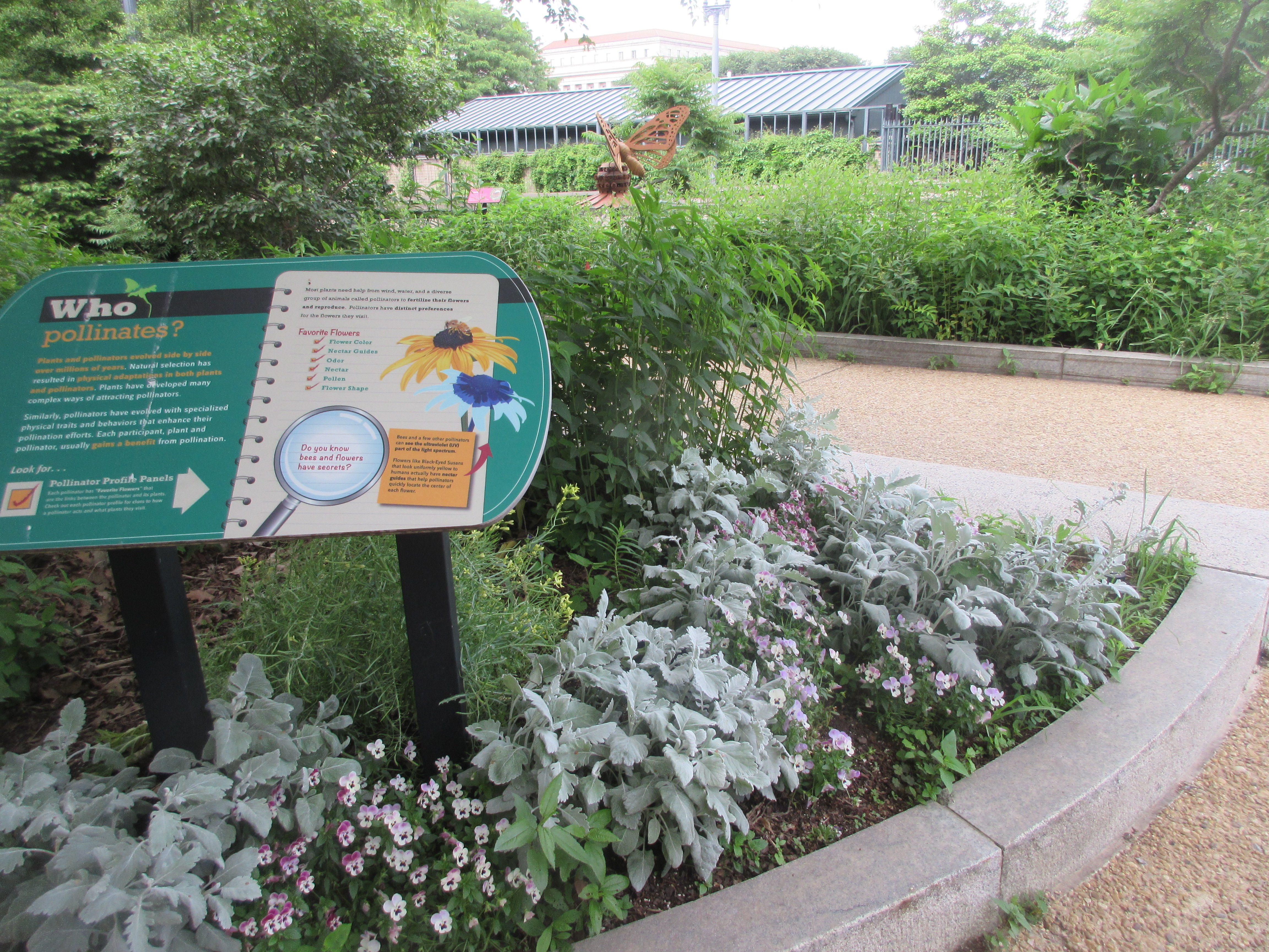 Smithsonian Pollinator Garden (Washington DC) - 2021 What To Know ...