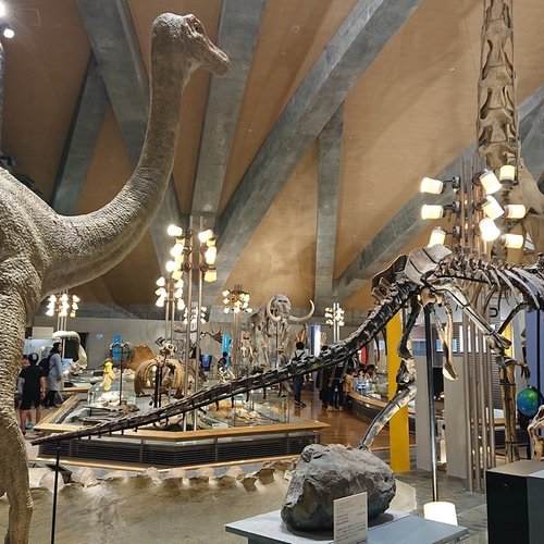 日本の自然史博物館: 日本の 10 件の自然史博物館をチェックする 