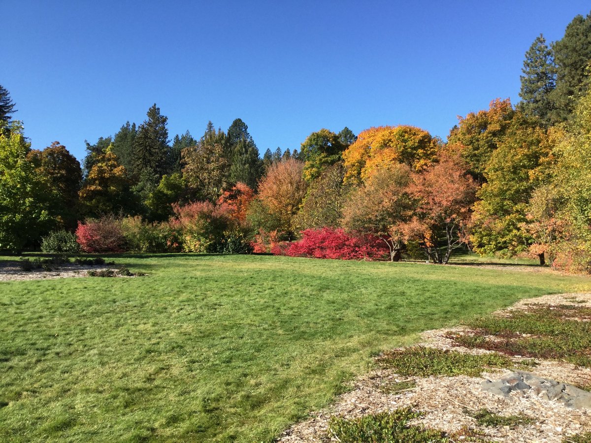 are dogs allowed at finch arboretum