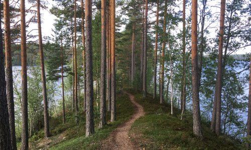 Iso-Melkutin lake in Loppi municipality has clear water for swimming and diving, and beautiful camping sites by the trail around the lake. Nice recreation area in the Southern Finland!