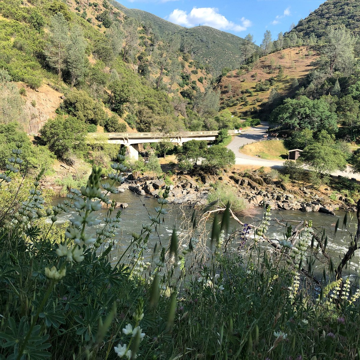 MERCED RIVER TRAIL (Briceburg): Ce qu'il faut savoir