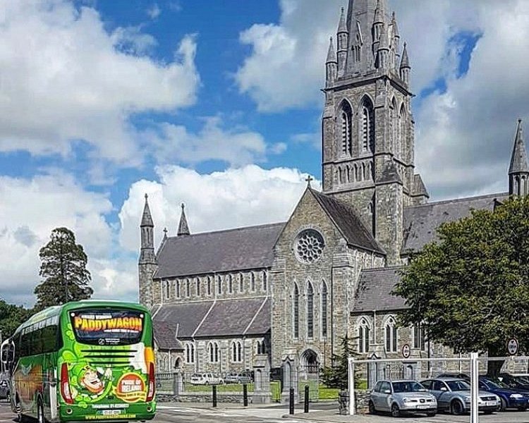 paddywagon tours killarney