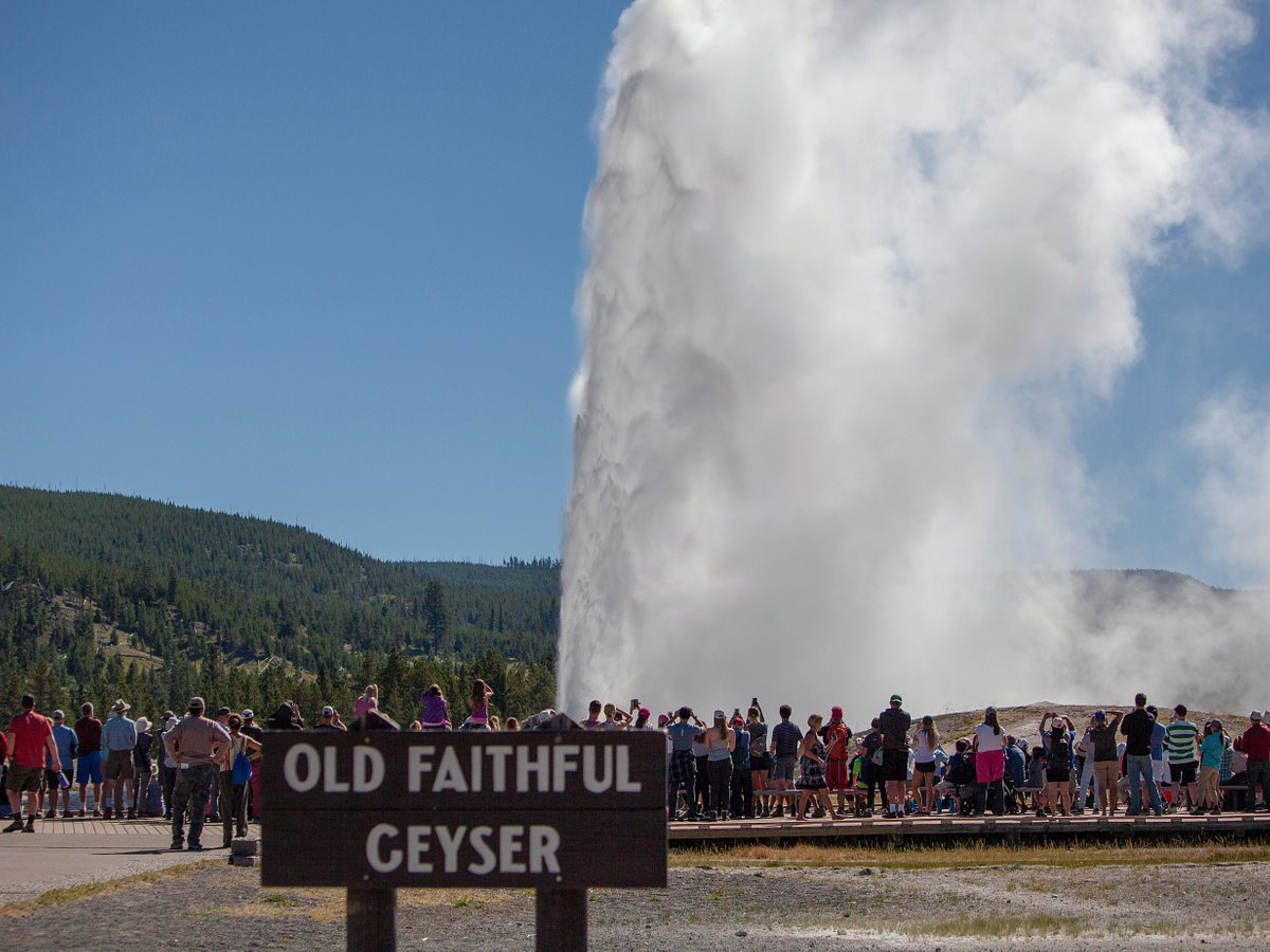 jackson tours chilliwack