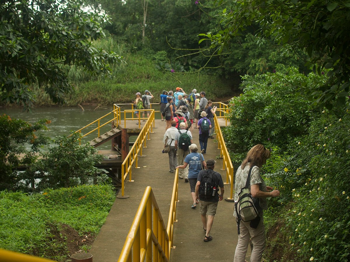 oasis nature tours sarapiqui