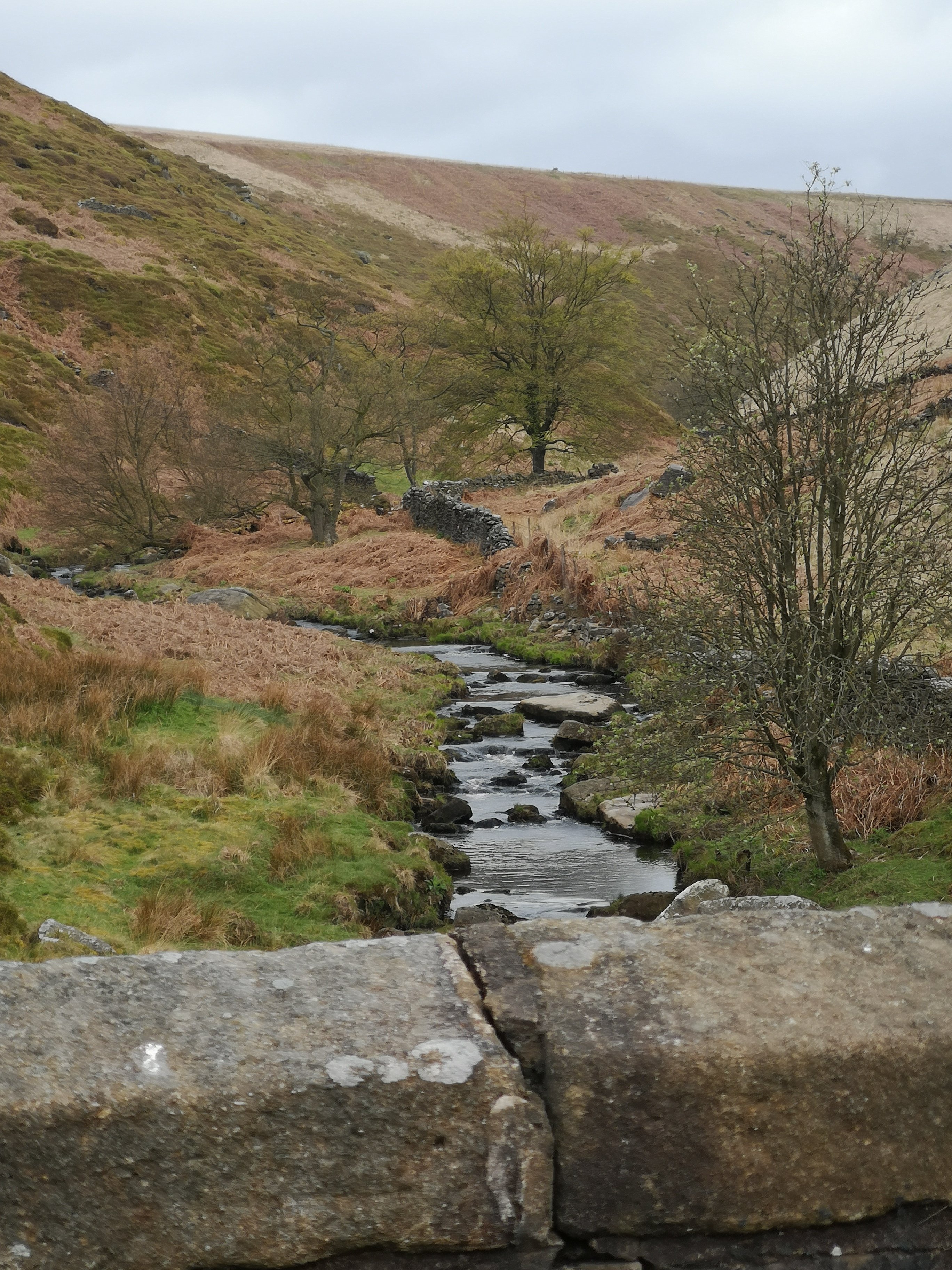 THE 30 BEST Things To Do In Yorkshire Dales National Park - 2022