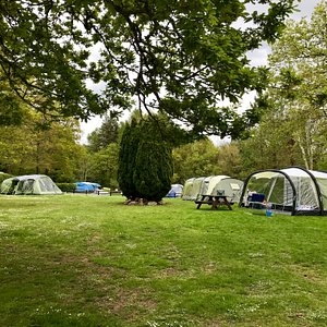 Large grass tent pitches
