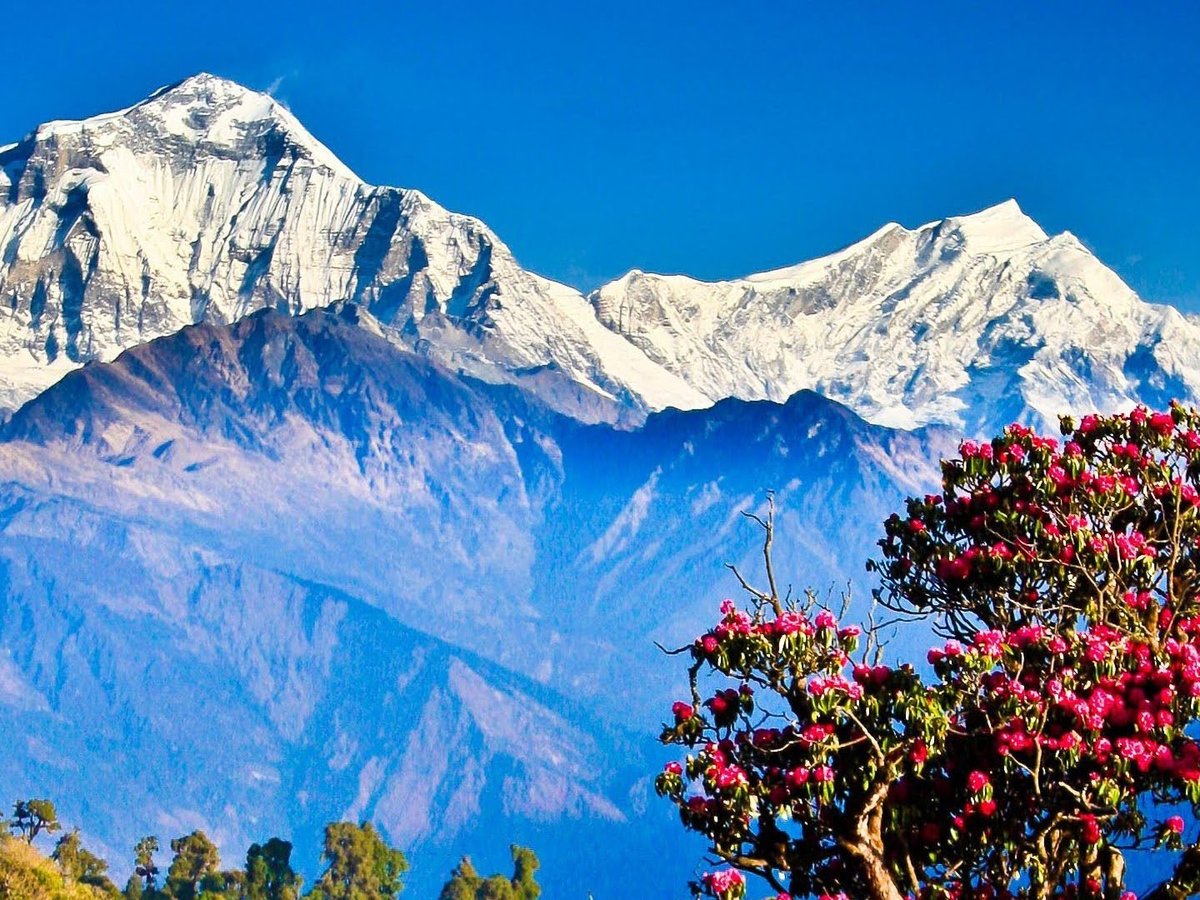 Adventure Himalayan Travels & Treks (Kathmandu) - All You Need to Know ...