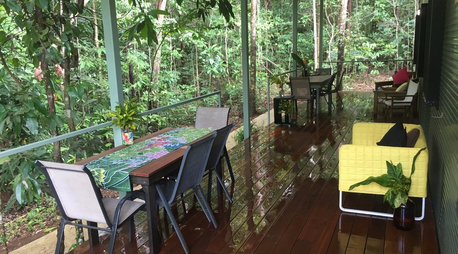 A view from the verandah outside of the rooms looking at the rainforest.