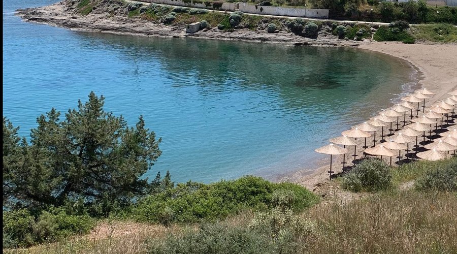 Solo Beach , 1ο Λιμανάκι Δασκαλειό