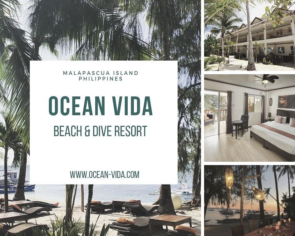 OCEAN VIDA 
Beach & Dive Resort with Restaurant and Bar.