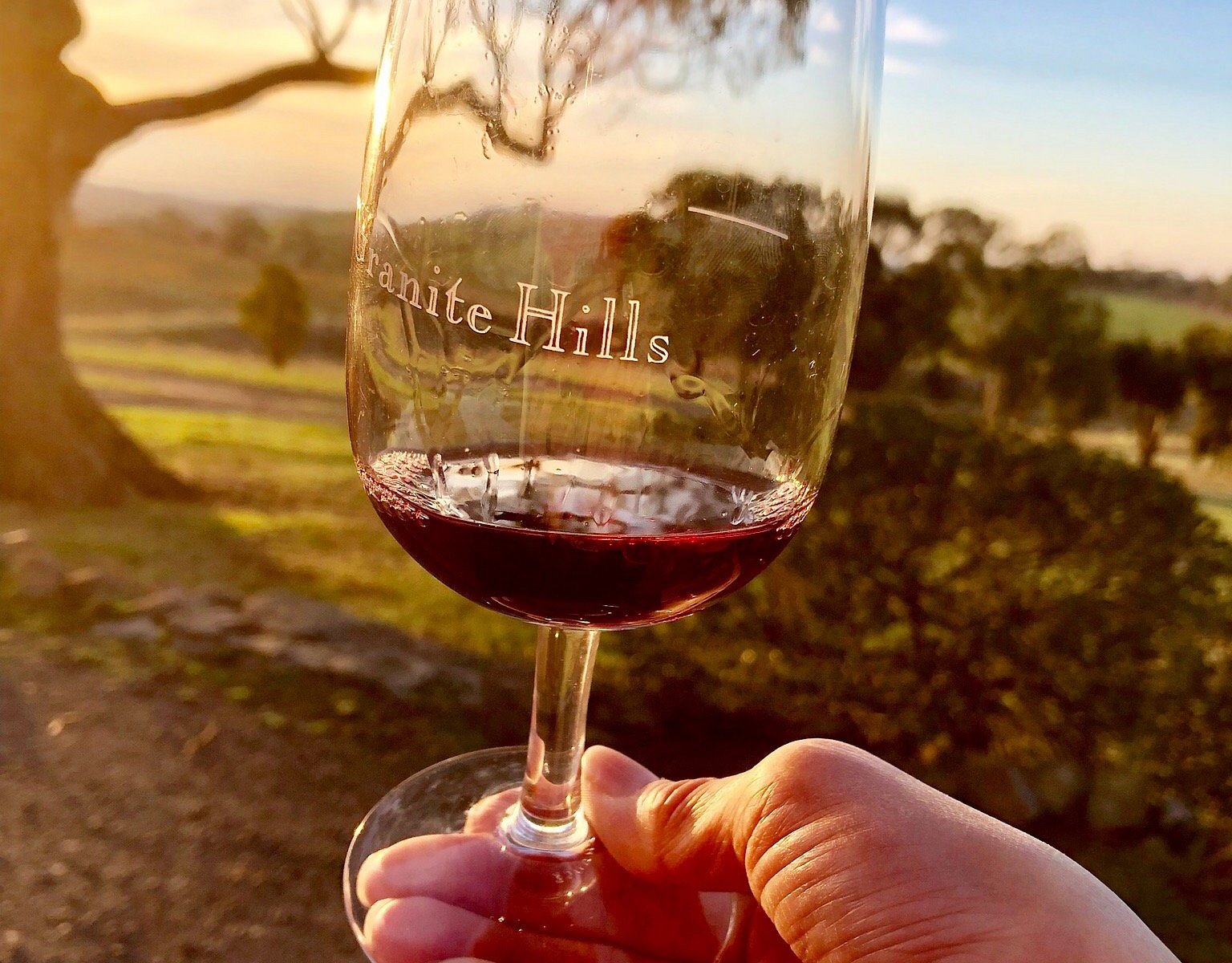 melbourne wine day tours