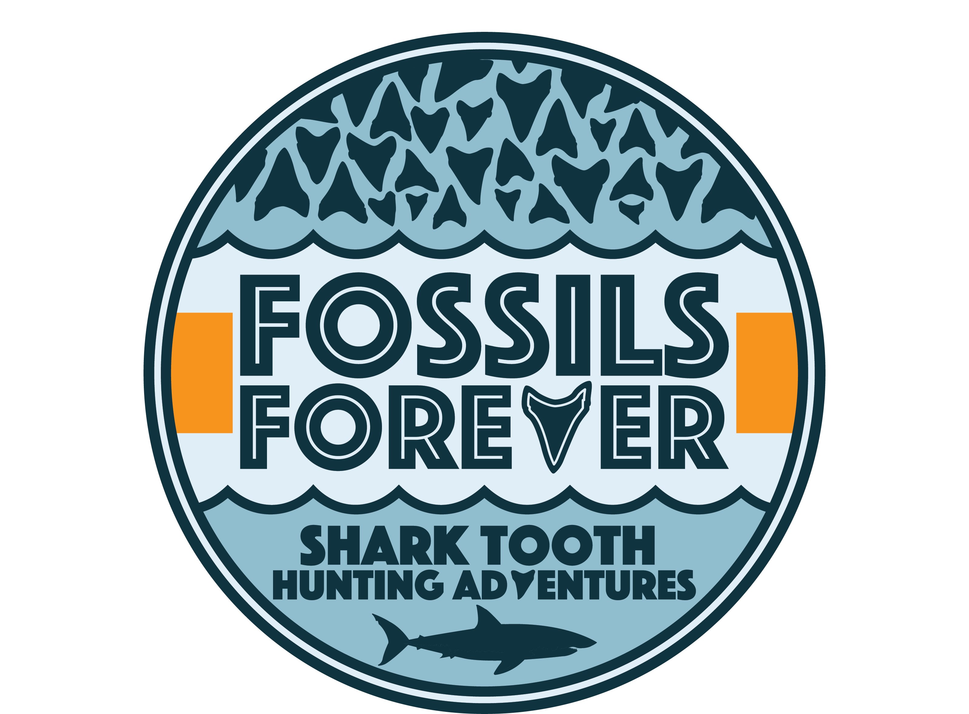 FOSSILS FOREVER SHARK TOOTH HUNTING ADVENTURES All You Need to