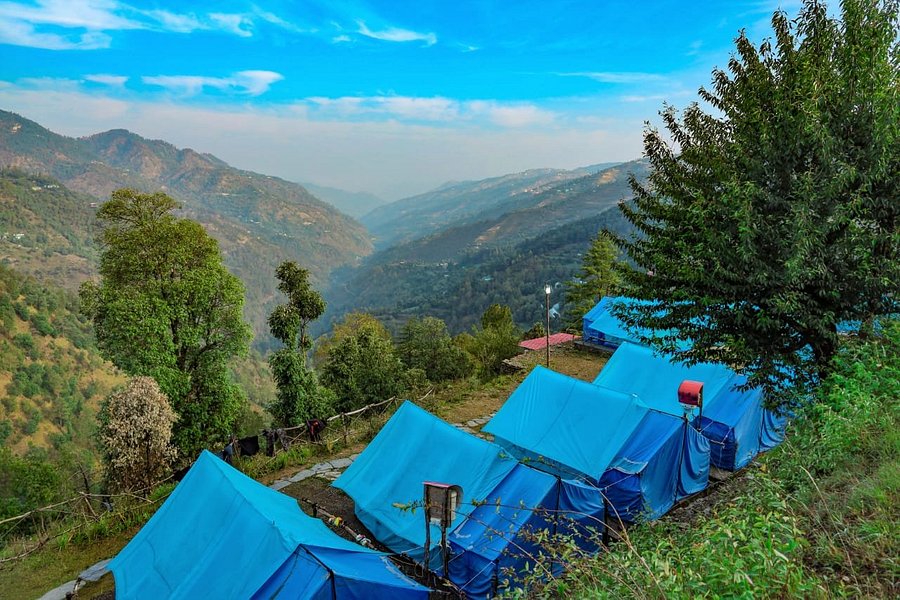 Strålende Ejeren Derved PINEHILLS NATURE CAMP - Prices & Campground Reviews (Mashobra, India) -  Tripadvisor