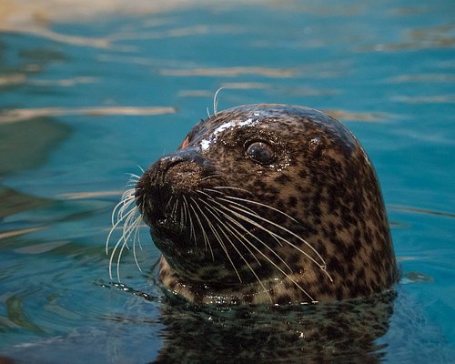 Jersey Shore Guide to Zoos and Aquariums for Kids