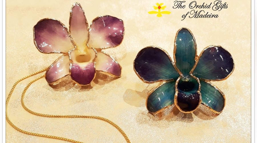 Our beautiful Natural Dendrobium Orchid , for wear like pendant or like brooch.

Available in our shop
in the Monumental Experience (Lido) Shopping Centre or our online shop : www.orchid-gifts-madeira.com
---------
Nossa linda orquídea Dendrobium Natural, para uso como pingente ou como broche.
Disponível na nossa loja no Monumental Experience (Lido) shopping ou na nossa loja online : www.orchid-gifts-madeira.com
