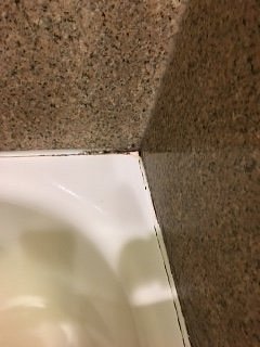 FUNGUS IN THE SHOWER?! - Picture of Quality Inn & Suites, College Park -  Tripadvisor