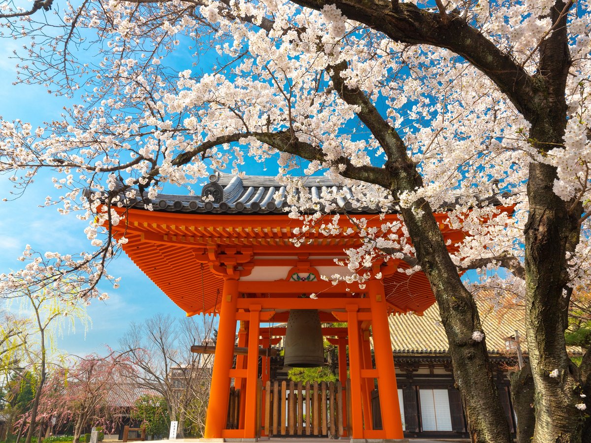 City Unscripted Kyoto - All You Need to Know BEFORE You Go