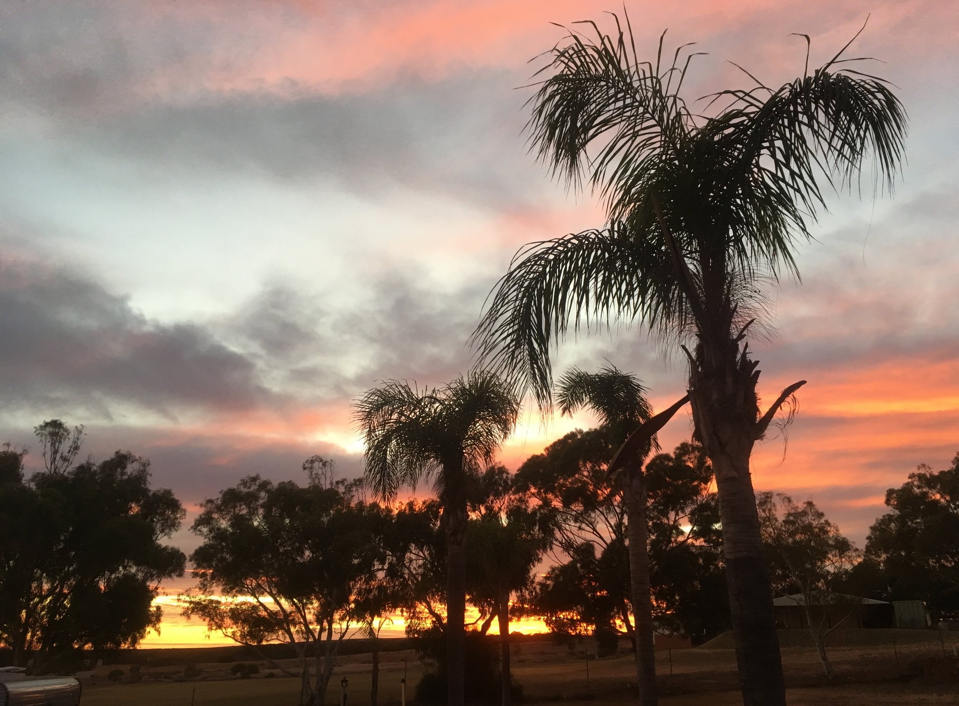 Kalbarri Anchorage Caravan Park by null