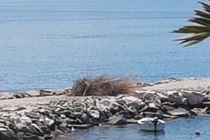 Viajante