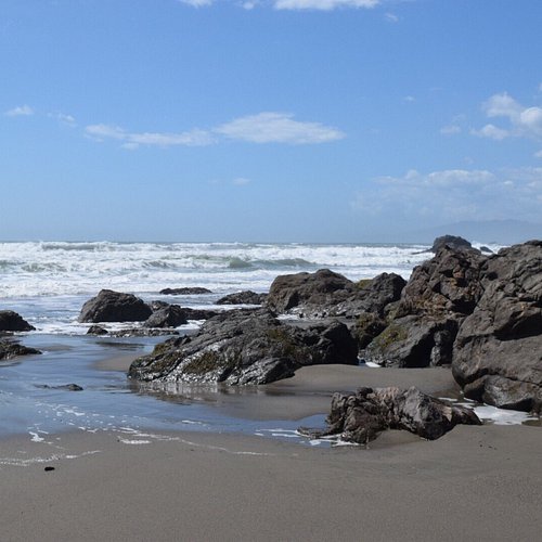 Sonoma Coast~Unparralled Ocean Front Views✨ - Sonoma County