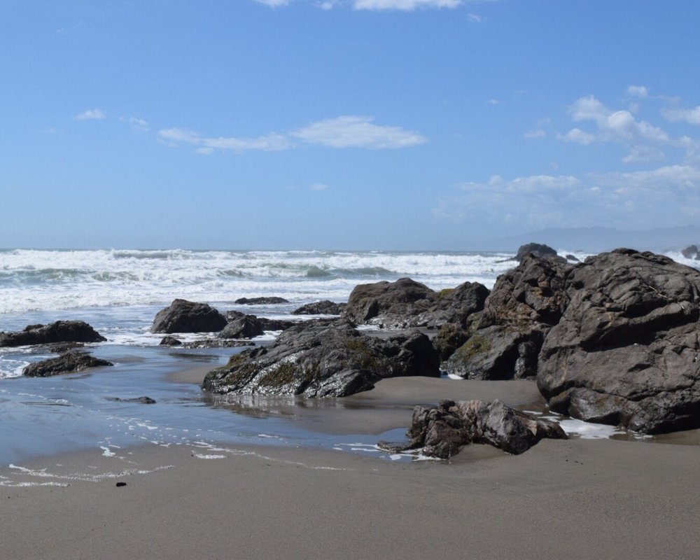 THE 15 BEST Things to Do in Bodega Bay - 2024 (with Photos) - Tripadvisor