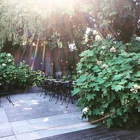 Shakti's Garden