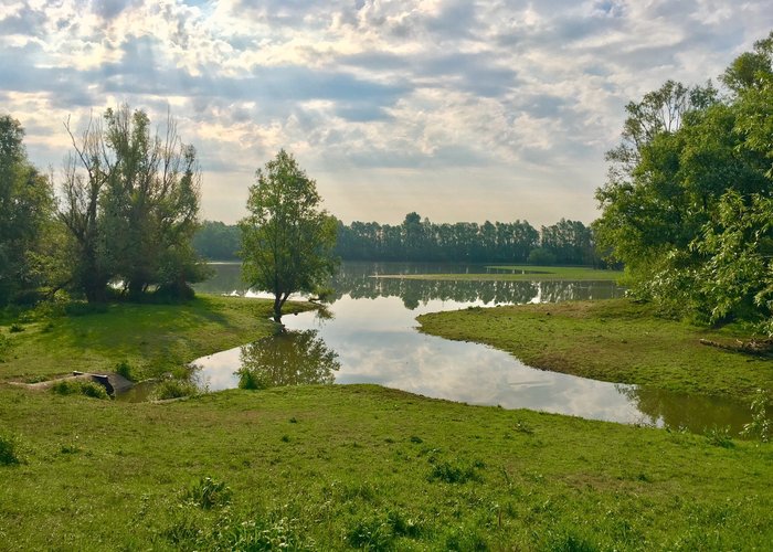 Wandelen in struingebied langs de uiterwaarden van de Waal bij Varik