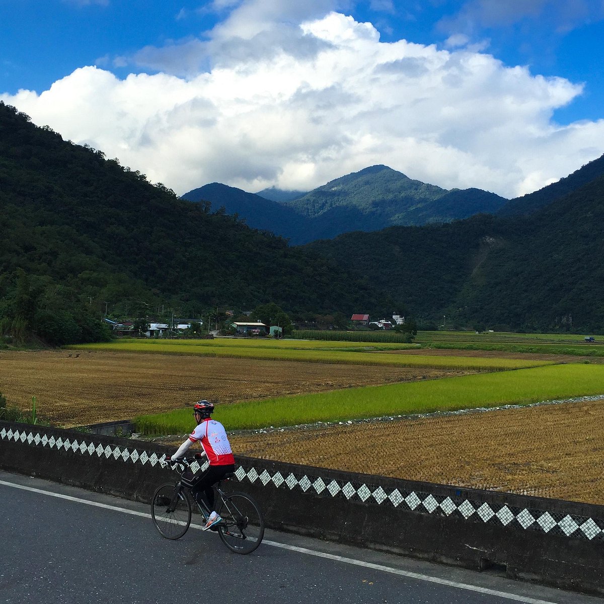 tai wai bike rental