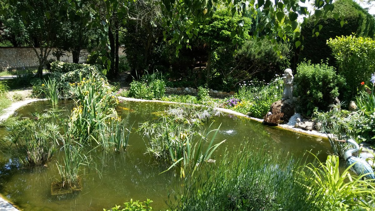 Jardin Zen Manthes Ce Qu Il Faut Savoir Pour Votre Visite 22