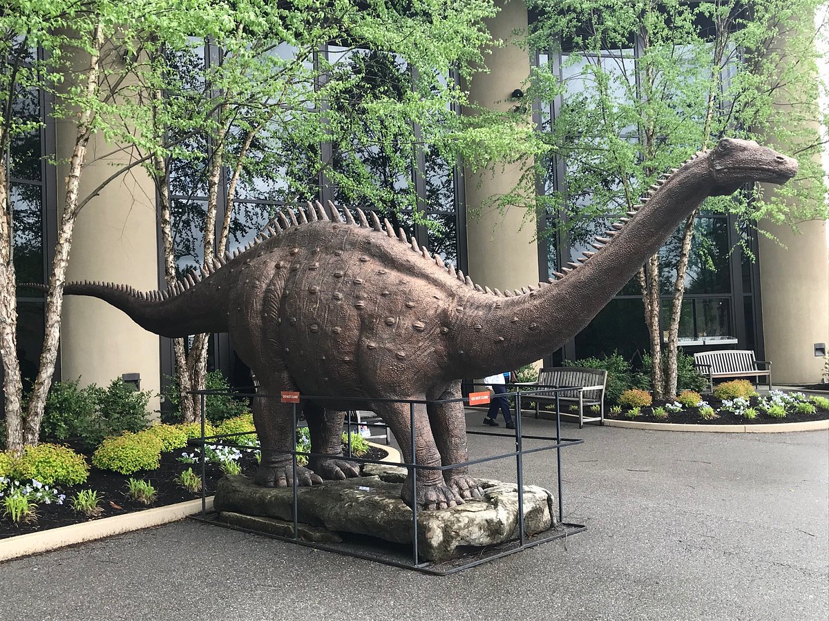 Creation Museum (Petersburg) - 2022 All You Need to Know BEFORE You Go (with Photos) - Tripadvisor