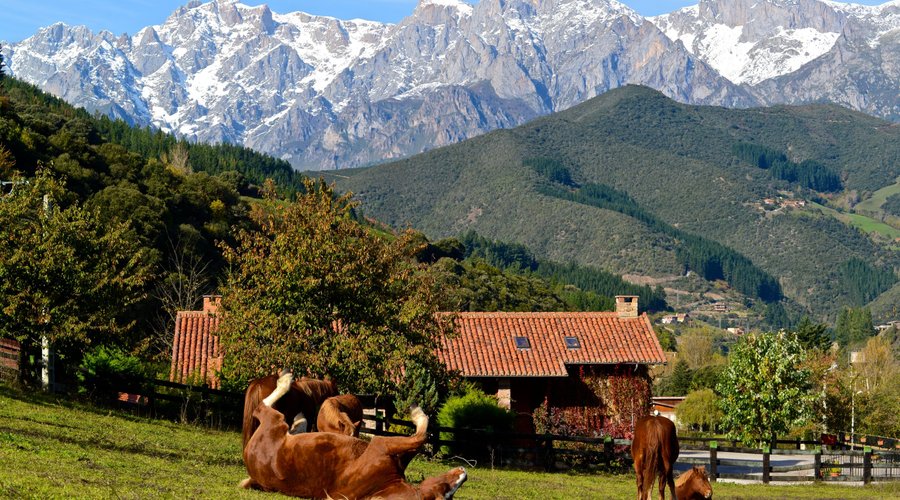 VISTA DE LOS PICOS DE EUROPA DESDE HOTEL-POSADA " LA CASA DE FRAMA"