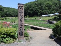 21年 吹上しょうぶ公園 行く前に 見どころをチェック トリップアドバイザー