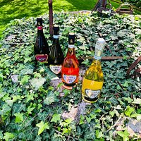 Agriturismo Colli Storici