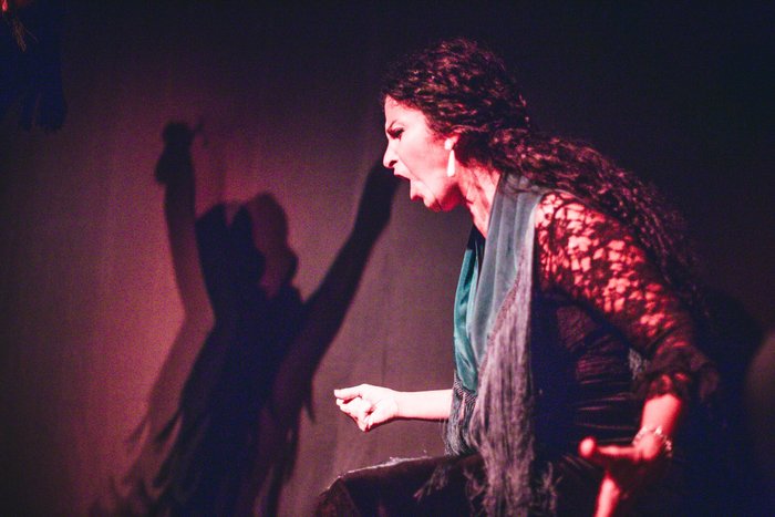 Imagen 10 de Sala Fabiola (Tablao Flamenco)