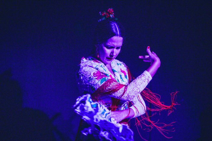 Imagen 4 de Sala Fabiola (Tablao Flamenco)